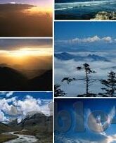 mk体育在线下载-MK体育，优化在线下载体验，引领数字体育时代