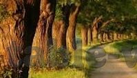 足球开奖比分-足球开奖比分，一场数据与激情交织的盛宴